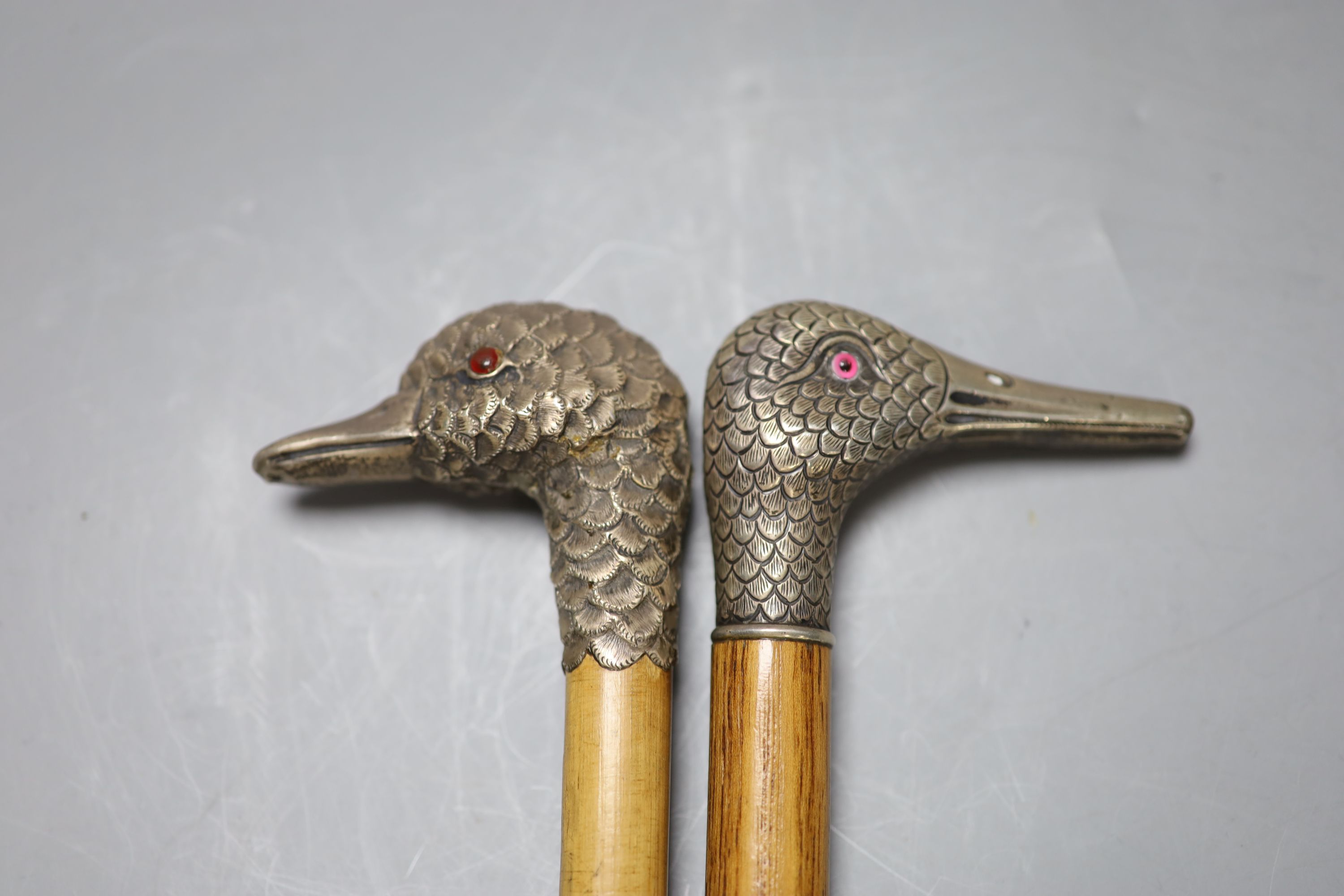 A Victorian silver mounted duck head cane, London 1899 and a white metal mounted dove head cane